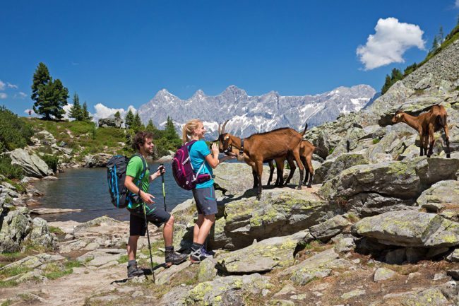 Wandern - Sommerurlaub in der Region Schladming-Dachstein